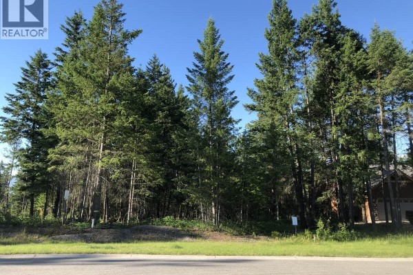 1398 Pine Drive, Golden, BC V0A1H1 Photo 3