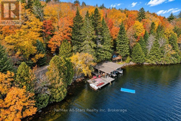 Rear view of a rustic log cabin with multiple decks and surrounding green foliage. - 14 60 Highway E, South Algonquin