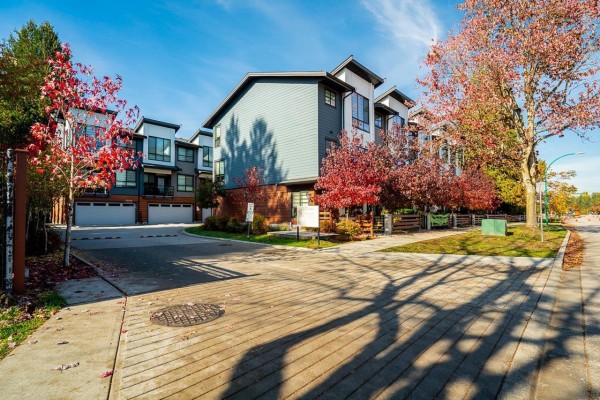 14 7177 194a Street, Surrey, BC V4N6V6 Photo 3