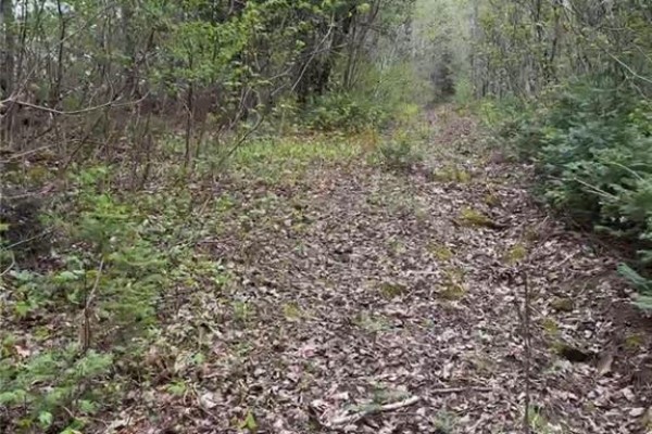 14 Acres Islandview Drive, Miramichi, NB, photo 2