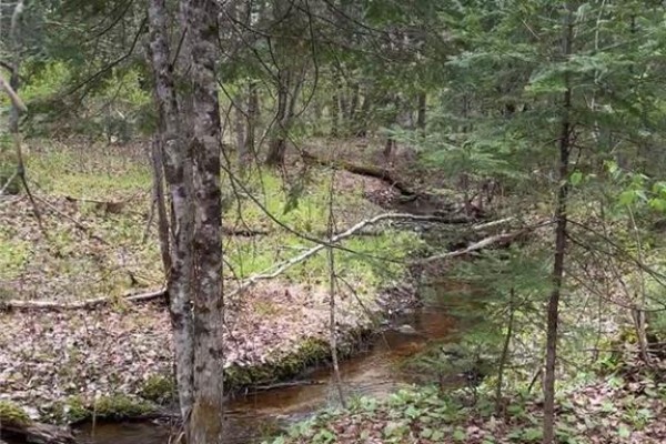14 Acres Islandview Drive, Miramichi, NB, photo 3