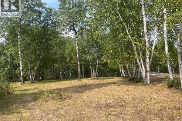 14 Andrews Way, Cowan Lake, SK S0J0E0 Photo 2