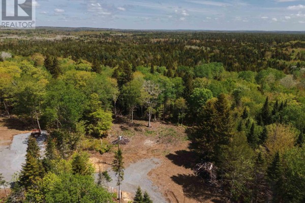 View of the wooded property with cleared sections and a gravel driveway. - 14 Douglaswood Drive, Lakelands