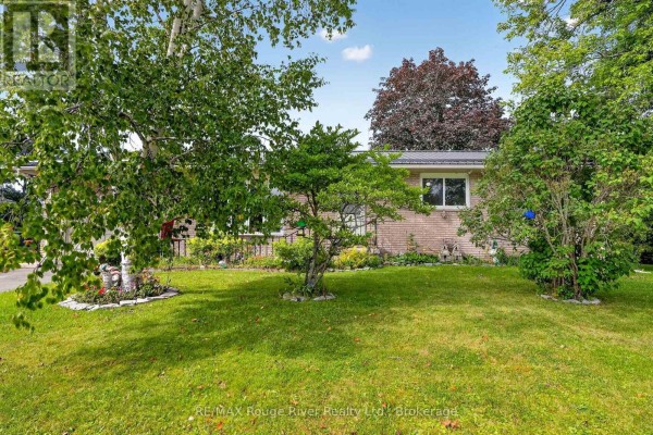 14 Elgin Street S, Cramahe, ON K0K1S0 Photo 2