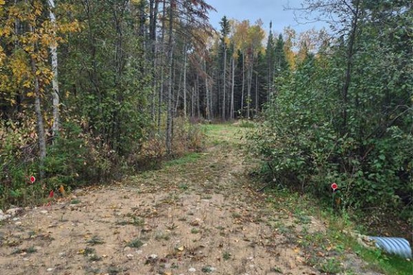 14 St Andrews View, Alexander, MB R0A0A0 Photo 5