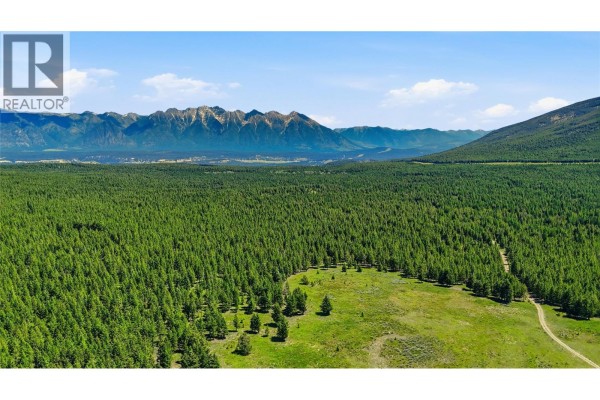 Drone view of dense evergreen forest with a grassy clearing and mountains in the background. - 14 Sub Lot 3/93 Highway, Cranbrook