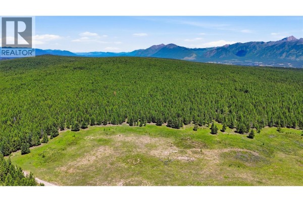 Expansive view of a dense forest leading to a clear meadow, with mountains in the distance. - 14 Sub Lot 3/93 Highway, Cranbrook