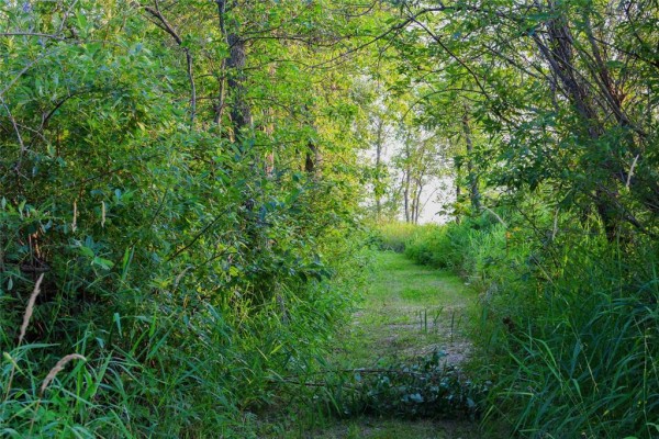 56 Watchorn Landing Road, Moosehorn, MB R0C2E0 Photo 5