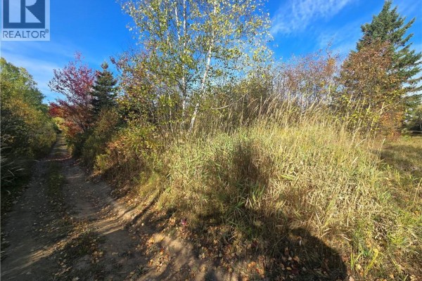 14.97 Acres Chemin Saulnier Ouest, Canton Des Basques, NB E1X2G6 Photo 2