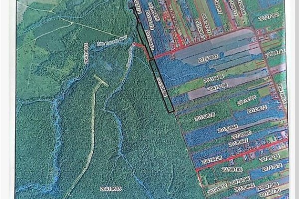 14.97 Acres Chemin Saulnier Ouest, Canton Des Basques, NB E1X2G6 Photo 3