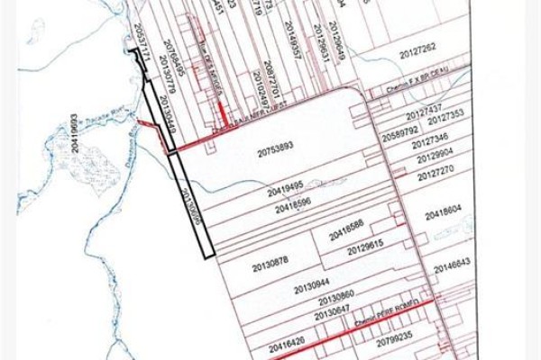 14.97 Acres Chemin Saulnier Ouest, Canton Des Basques, NB E1X2G6 Photo 5