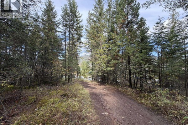 1401 Paxton Road, Williams Lake, BC V2G3G2 Photo 4