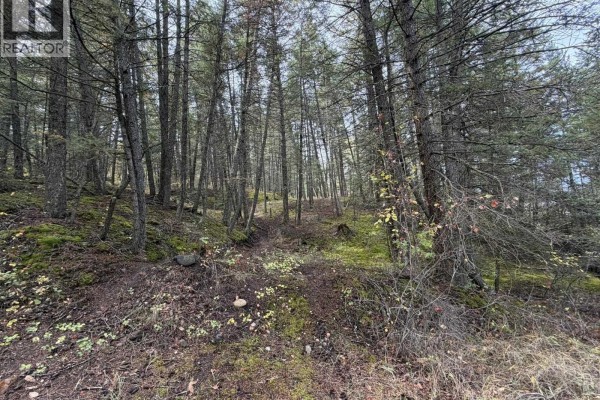1401 Paxton Road, Williams Lake, BC V2G3G2 Photo 5