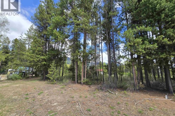 1406 Bruce Place, Valemount, BC V0E1Z0 Photo 4