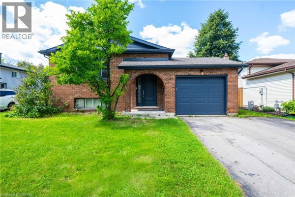 Recreation room - 141 Cedar Crest Street, Kitchener, ON N2N2A6 Photo 3