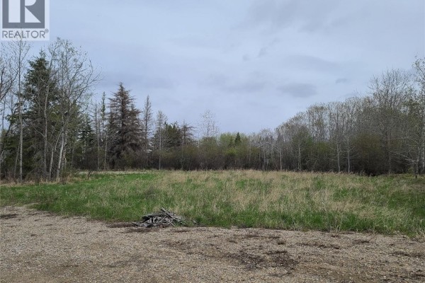141 Razor Road South Bay Turtle Lake, Turtle Lake, SK S0M1J0 Photo 4