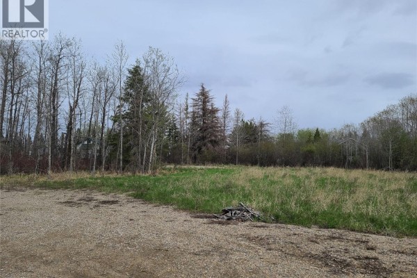 141 Razor Road South Bay Turtle Lake, Turtle Lake, SK S0M1J0 Photo 5