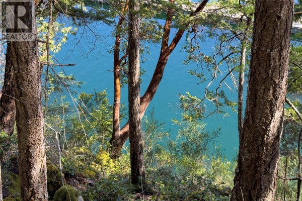 Office - 1410 Red Granite Rd, Cortes Island, BC V0P1K0 Photo 4