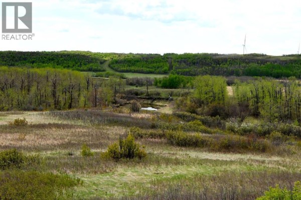 14123 Township Road 404, Rural Flagstaff County, AB, photo 3