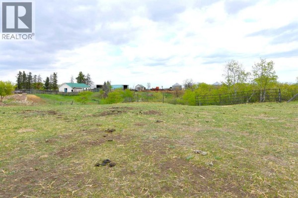 14123 Township Road 404, Rural Flagstaff County, AB T0B1N0 Photo 4