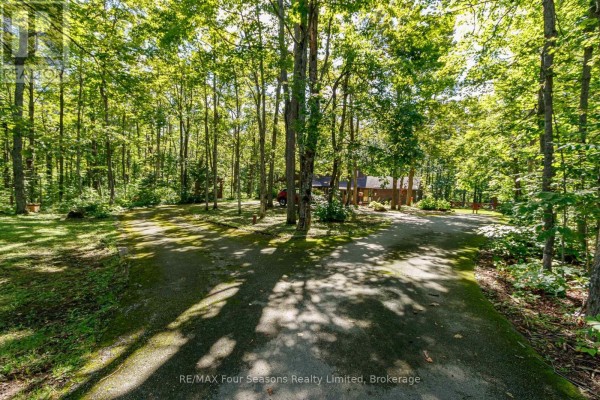 Workshop - 1415 County Rd 124, Clearview, ON L0M1H0 Photo 5