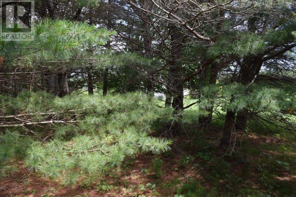 Den - 1419 Portage Road, Orangedale East, Whycocomagh Portage, NS B0E3M0 Photo 5
