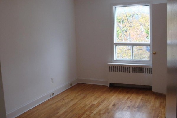 Empty bedroom with hardwood floors and a large window overlooking trees. - 142 Ste Cecile Street, Ottawa