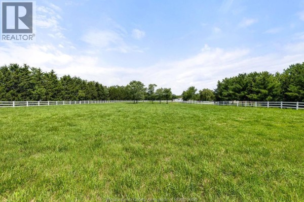 1420 County Rd 31, Lakeshore, ON N0R1S0 Photo 5