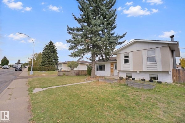 Kitchen - 14223 83 St Nw, Edmonton, AB T5E2X8 Photo 3