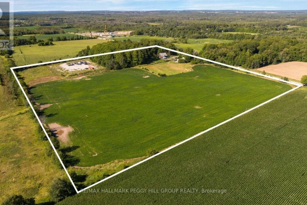 Aerial view of a large rectangular field with crops, bordered by trees and a road. - 1424 Klondike Park Road, Clearview