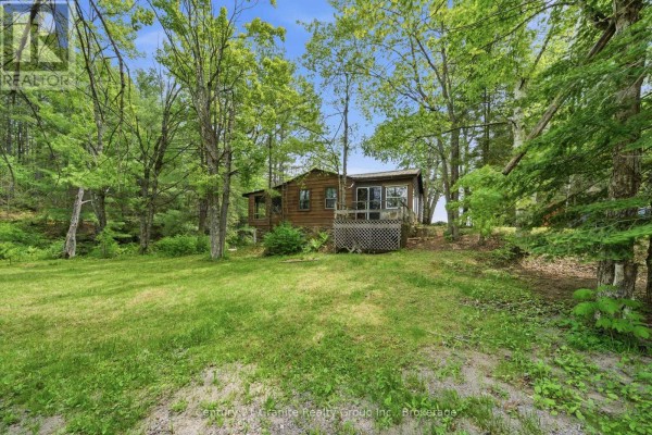 Family room - 1427 Spar Lake Road, Minden Hills, ON K0M2K0 Photo 4