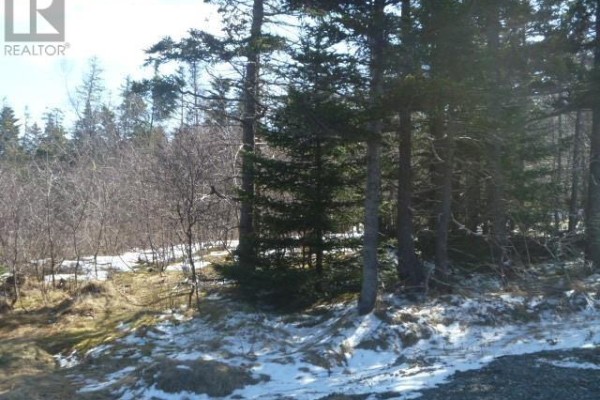 143-163 High Road South Highway S, Carbonear, NL A1Y1A4 Photo 4