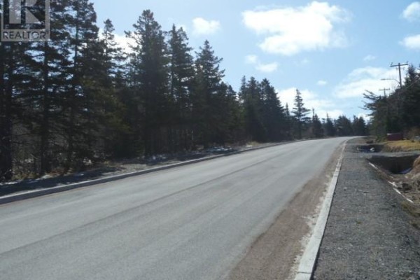 143-163 High Road South Highway S, Carbonear, NL A1Y1A4 Photo 5