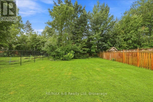 Fenced backyard with lawn, trees, and shed - 143 Britannia Street Stratford