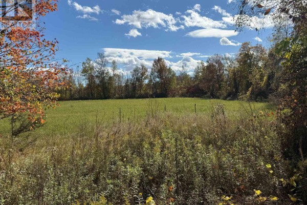 143 Preston Road, Centre Hastings, ON K0K2K0 Photo 5