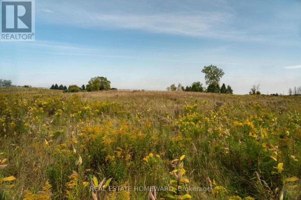 1430 County Rd 50 S, Adjala Tosorontio, ON, photo 3