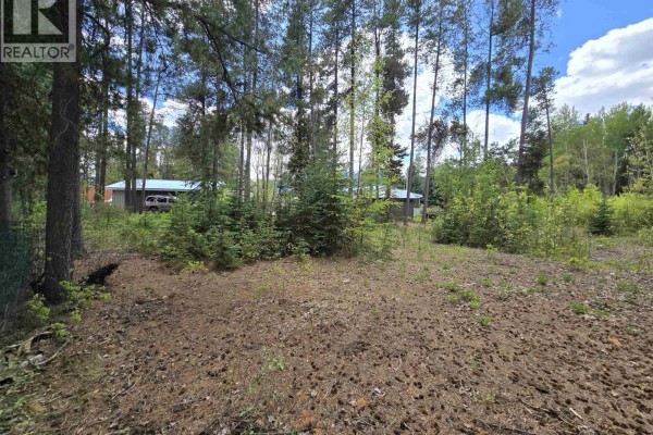 1430 Grenfell Place, Valemount, BC V0E2Z0 Photo 2