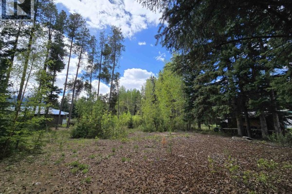1430 Grenfell Place, Valemount, BC V0E2Z0 Photo 3