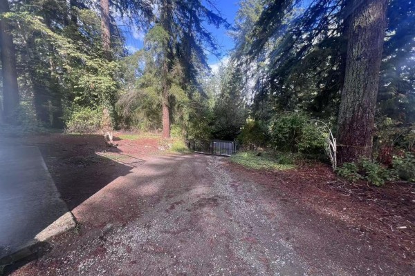 Gravel driveway leading through a wooded area towards a gated entrance. - 14340 28 Avenue, Surrey