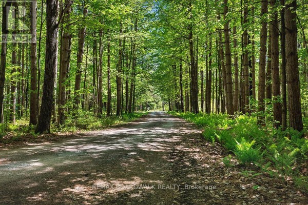 1439 Lacroix Road, Clarence Rockland, ON K0A2A0 Photo 4