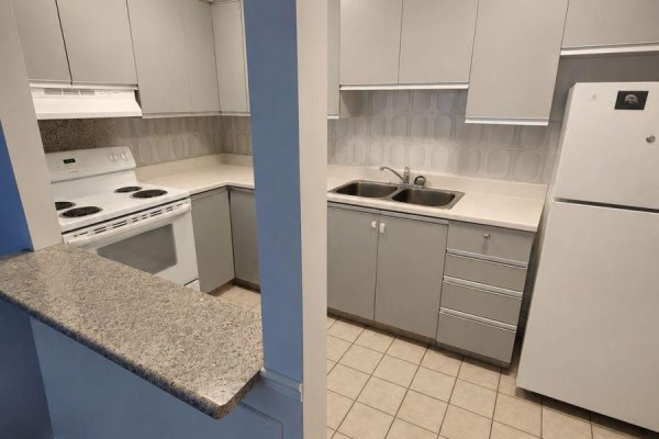 144 Coxwell Avenue, Toronto, ON M4L3B2 Photo 3