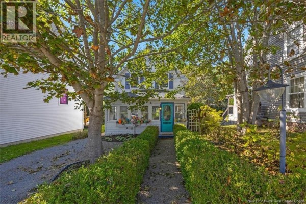 Path leading to a white house with a blue door, flanked by trimmed hedges and trees. - 144 Frederick Street, Saint Andrews