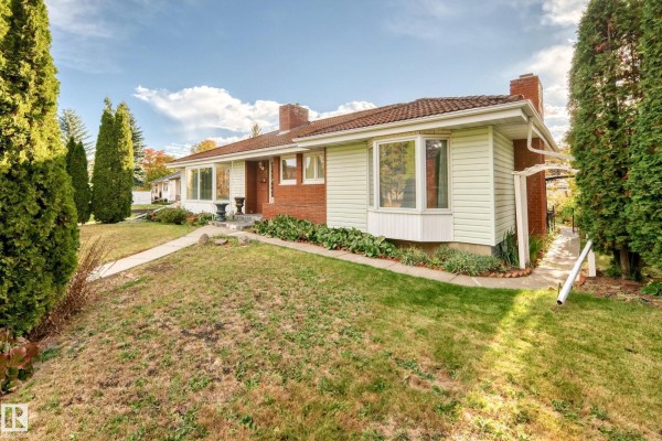 Kitchen - 14423 96 Av Nw, Edmonton, AB T5N0C6 Photo 3