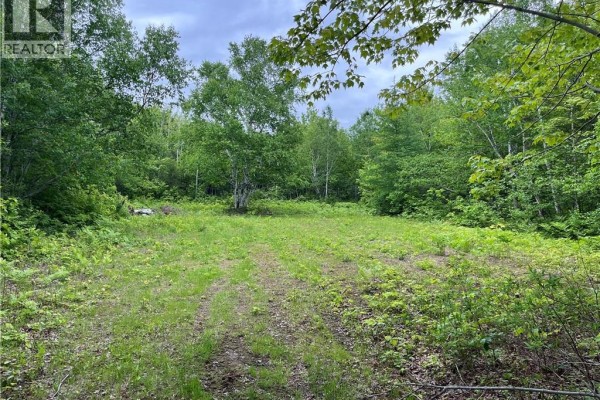 1446 Chatillon, Maisonnette, NB E8N1R1 Photo 2