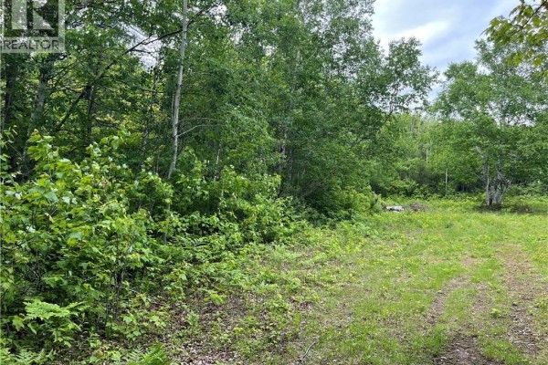 1446 Chatillon, Maisonnette, NB E8N1R1 Photo 3