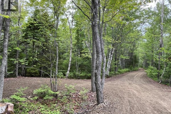 1446 Chatillon, Maisonnette, NB E8N1R1 Photo 4