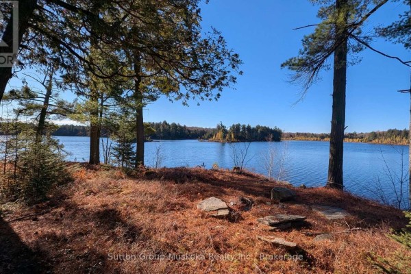 1448 Limberlost Road, Lake Of Bays, ON P0A1H0 Photo 2