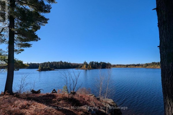 1448 Limberlost Road, Lake Of Bays, ON P0A1H0 Photo 3