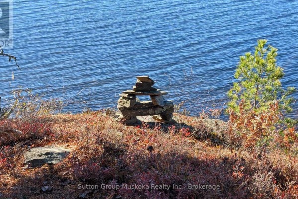 1448 Limberlost Road, Lake Of Bays, ON P0A1H0 Photo 4