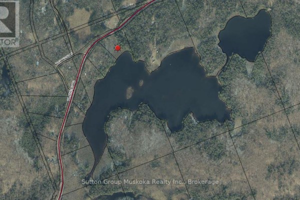 1448 Limberlost Road, Lake Of Bays, ON P0A1H0 Photo 5